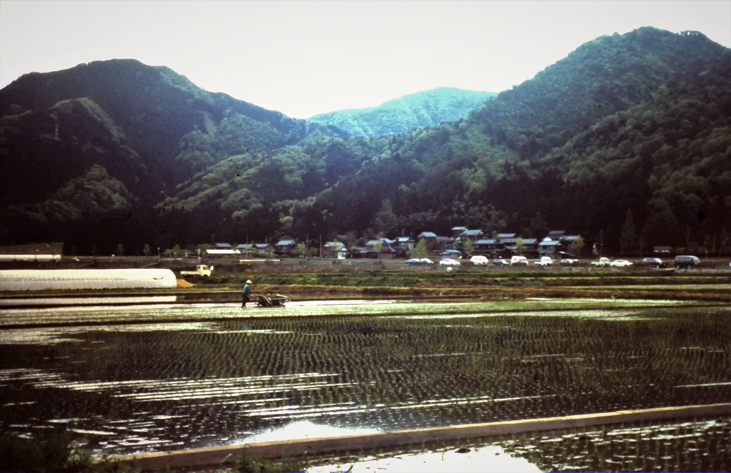 How to Register a Pesticide in Japan: FAMIC, Dossiers, Timelines